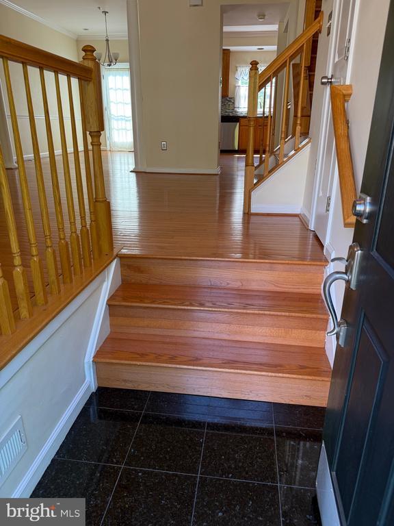 Photo - 20914 Rosebay Pl