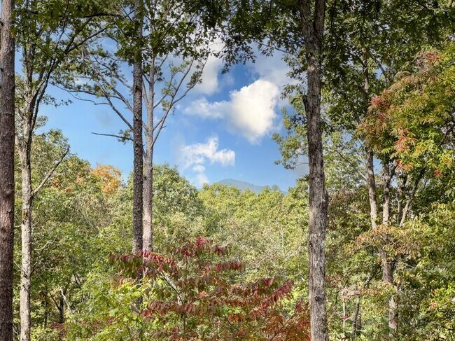 Photo - 111 Watkins Farm Rd