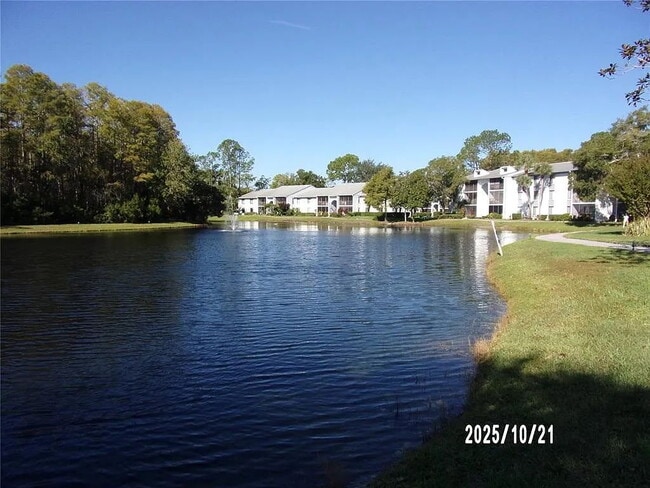 Photo - 2-Bed, 2-Bath Condo Retreat in Serene Tarpon Springs Oasis! Unidad #C2