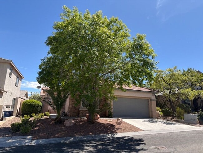Building Photo - One story house in Summerlin with 3 bedrooms