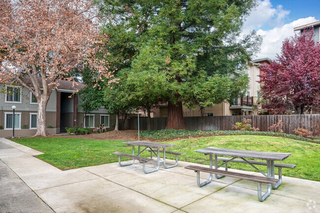 Courtyards