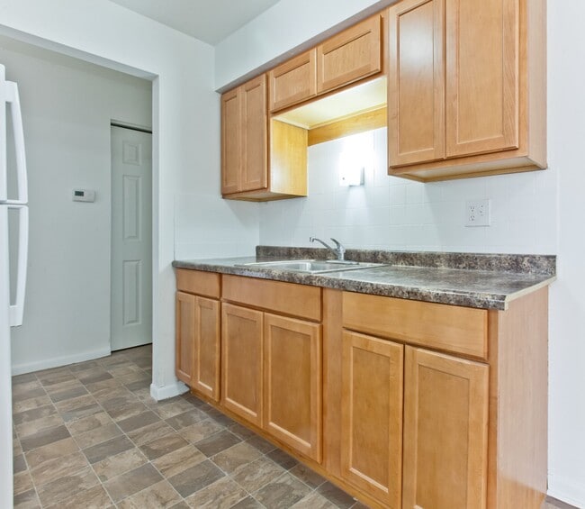 Photo - 10 W 137th ST Riverdale, IL 60827