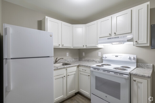 1BR, 1BA - 400SF Kitchen