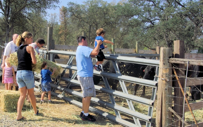 Photo - 26178 Whispering Oak Ln