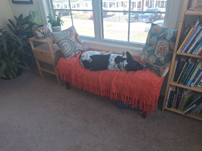 Photo - 3556 Wardell Crest