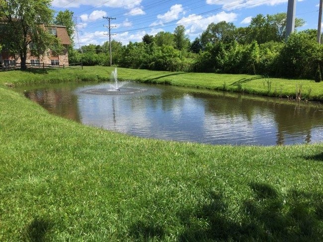 Hinkston Pond Apartments - Hinkston Pond Apartments
