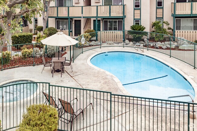 Pool and Spa