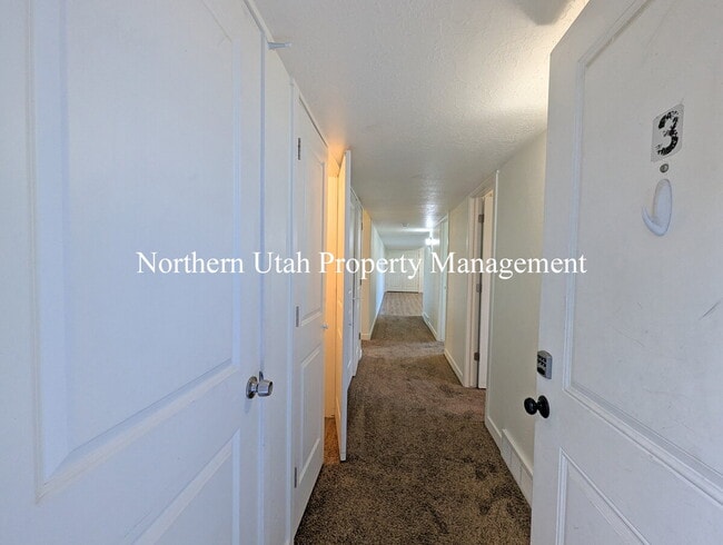 Photo - 2 Bed, 1 Bath Lower Unit Unidad 2 Down