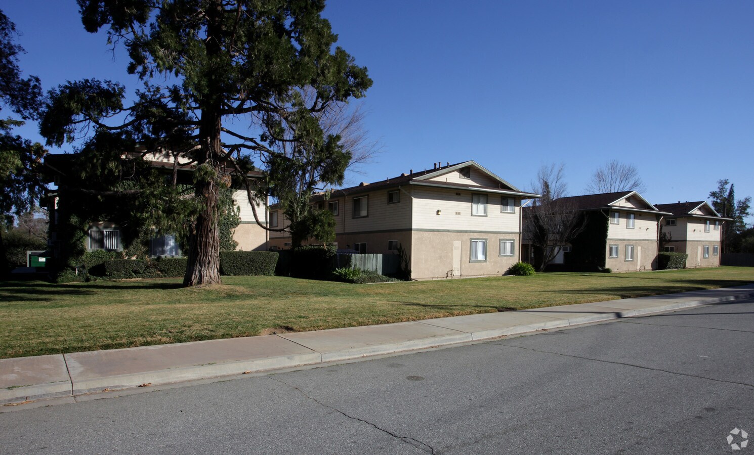 Pine Tree Apartments - Pine Tree Apartments