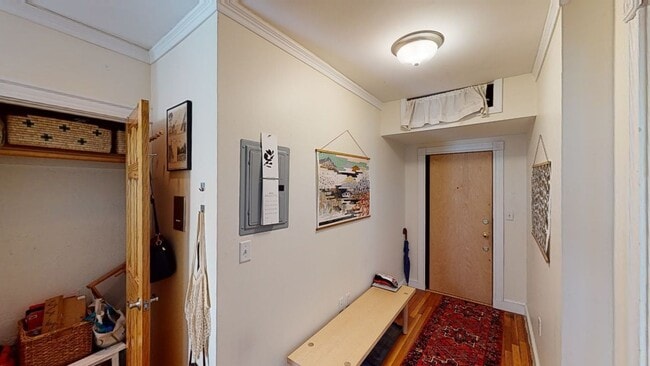 Photo - Beautiful Studio Available now