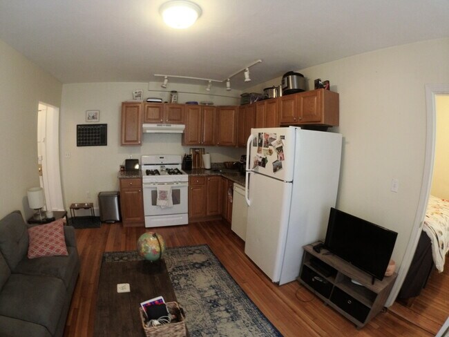 Building Photo - 1620 Commonwealth Ave Unit 11 Rental