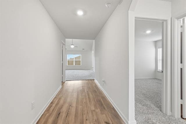 Photo - 13709 Roosevelt Arch Dr