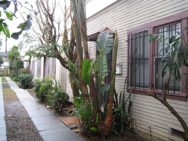 Photo - 1215 N Fairfax Ave Apartment Unit 1217