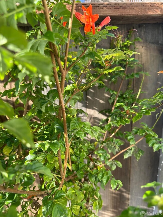 Photo - 480 Monterey St