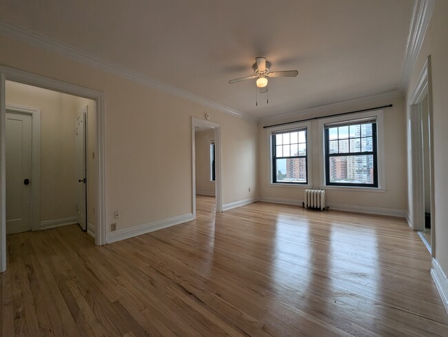 Photo - 522 W Briar Pl Apartment Unit #540-8N