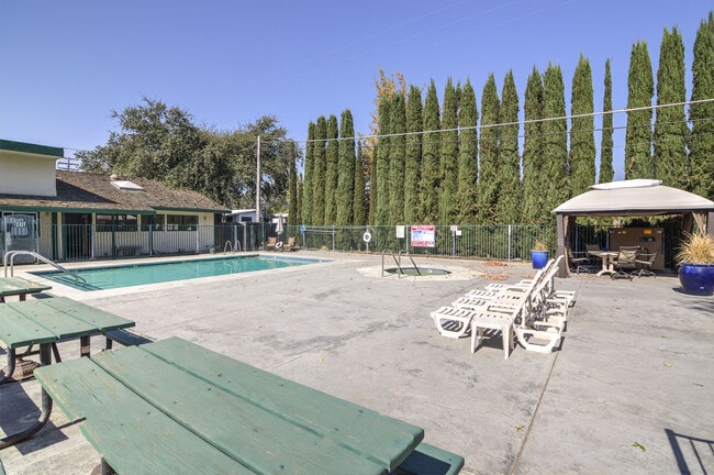 Photo - Cypress Greens