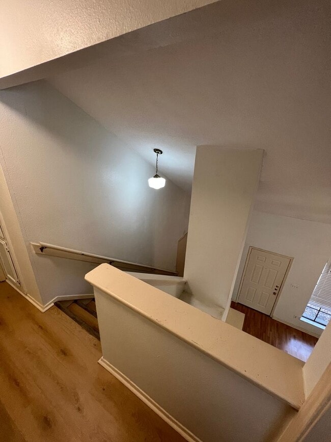 Photo - Copperfield Charmer