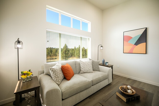 Large Living Room