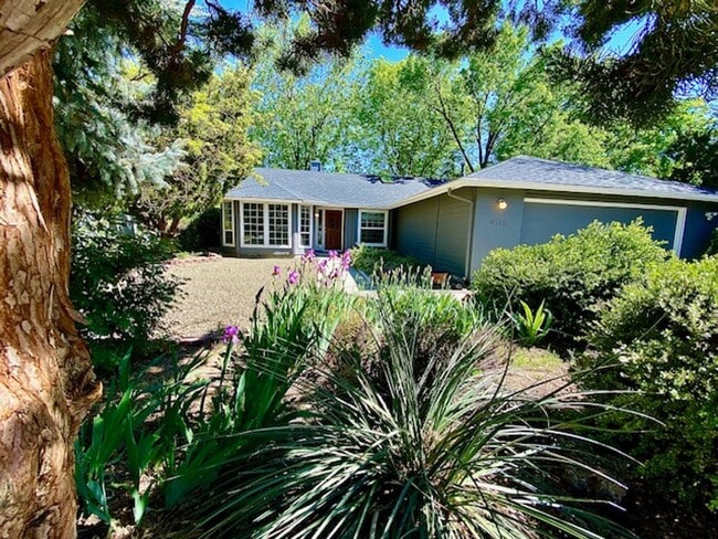 Photo - 4 Bedroom 2 bath Home in NW Boise