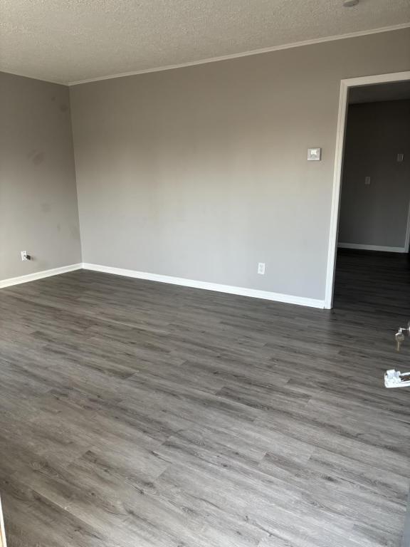 Photo - 4576 Live Oak Dr