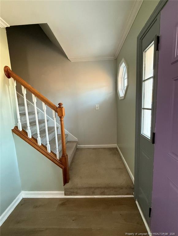 Photo - 23 Bishop Ct