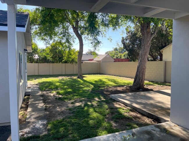 Large shaded enclosed backyard