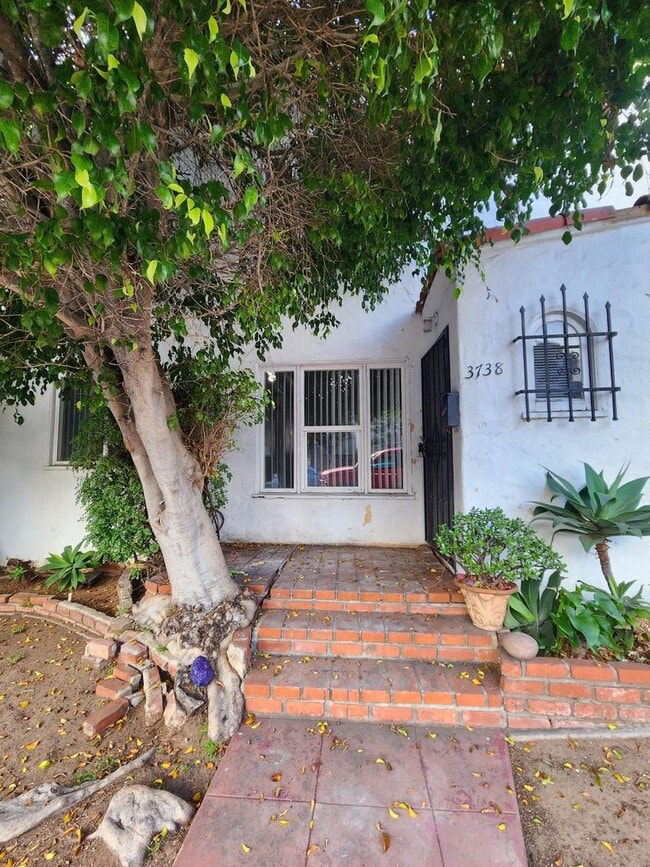 Photo - Florida Street