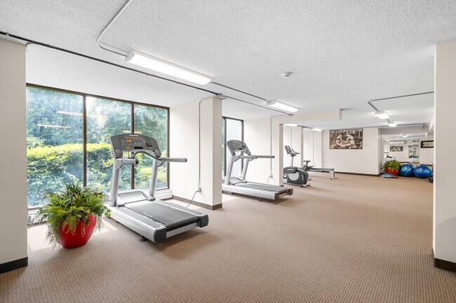 Cardio equipment