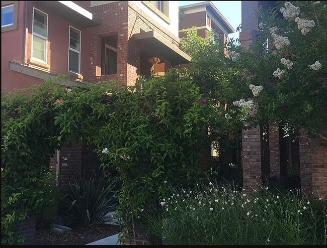 Photo - 1530 Neleigh Pl Casa