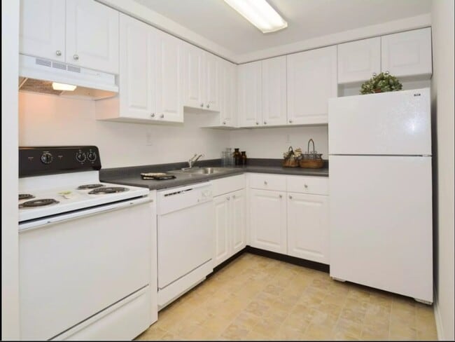 Photo - Bishop Hill Apartments