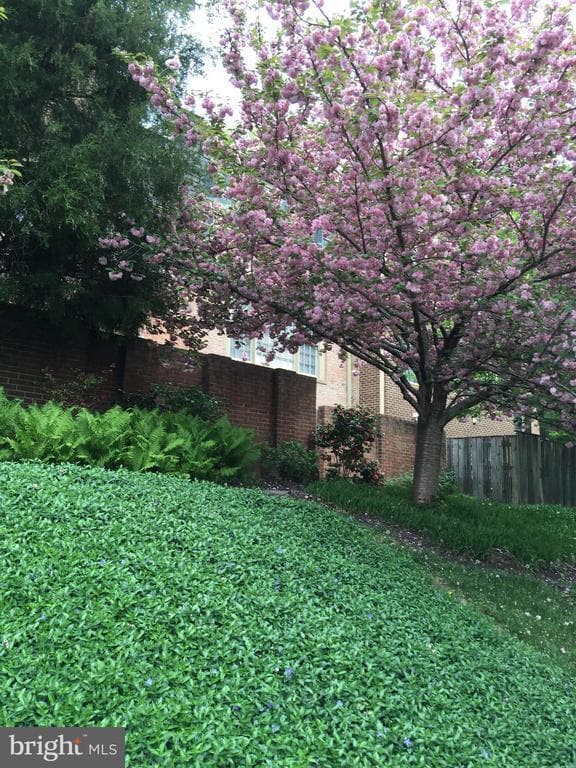 Photo - 5139 Westbard Ave