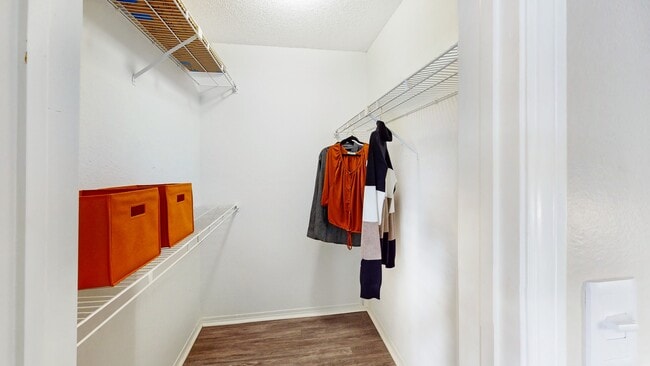 Renovated Walk-In Closet - The Augusta Apartments