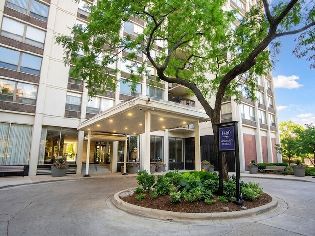 Building Photo - 1460 N Sandburg Terrace Unit 2805A