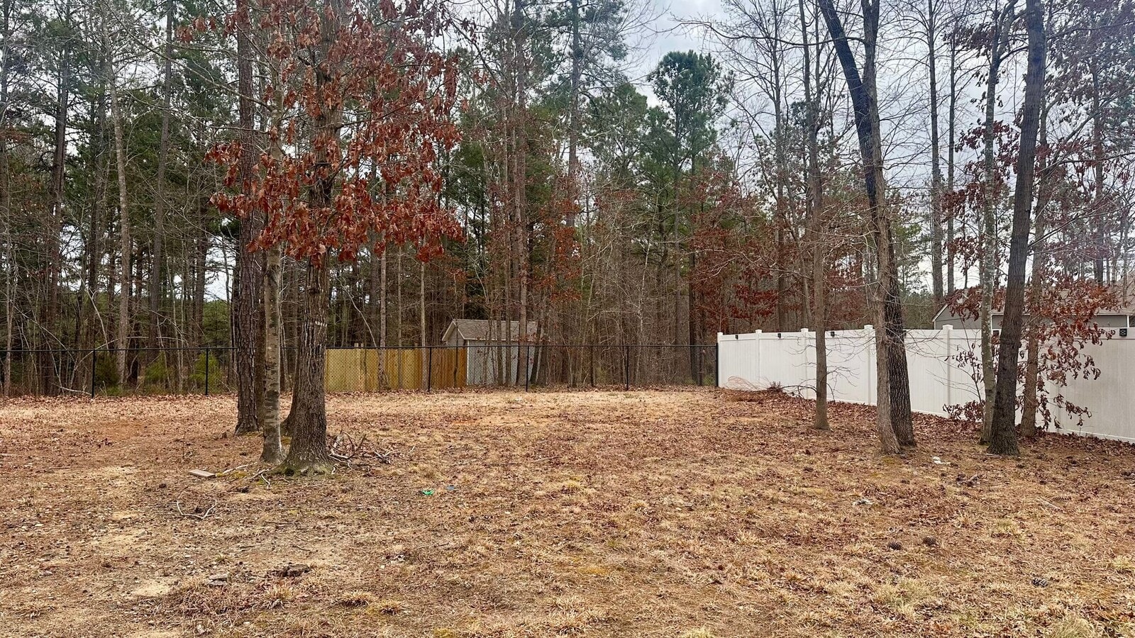 Photo - RENTAL HOME 3BD/2BTH