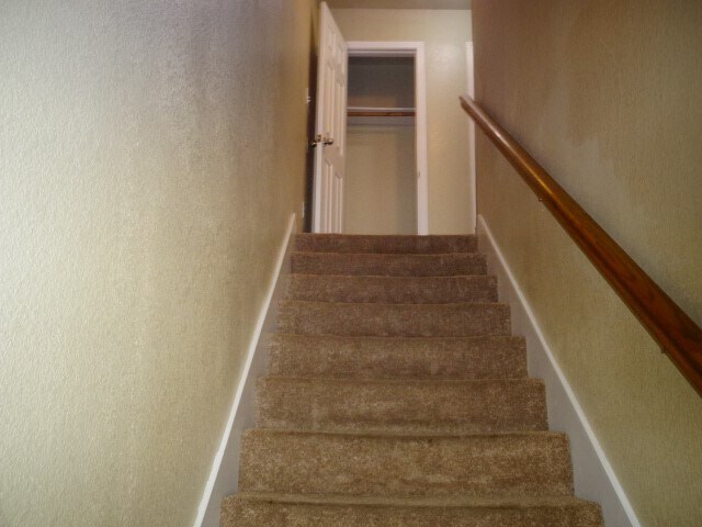 107 Yegua Cir