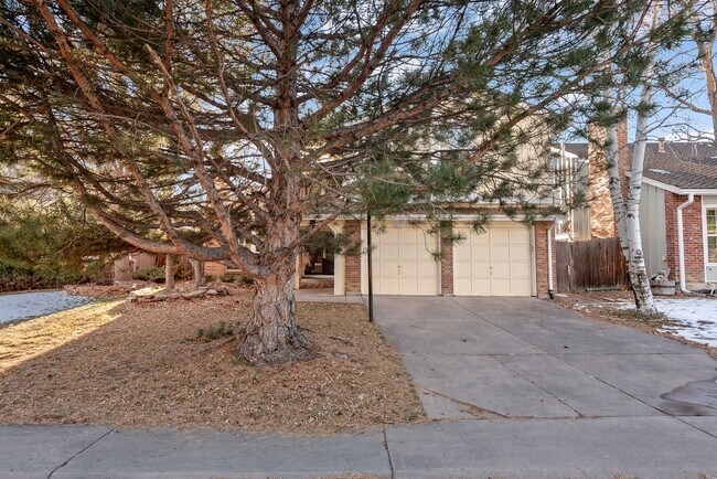 Photo - Ken Caryl Perfection House