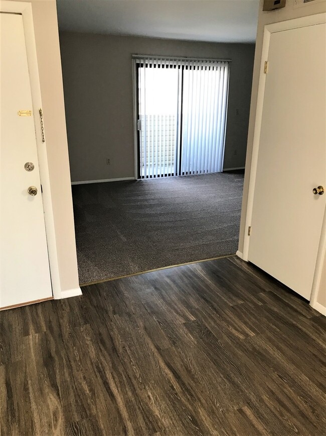 Photo - Bright and Updated Apartment with 2 Balconies!