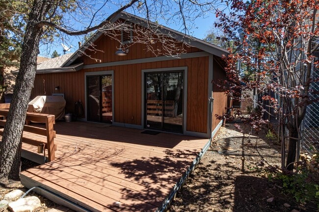 Photo - Sugarloaf Cutie