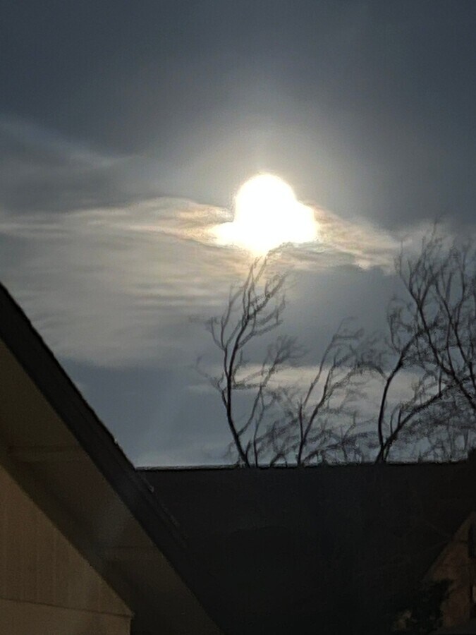 Photo - 2444 E Mobile Ln Unit 2