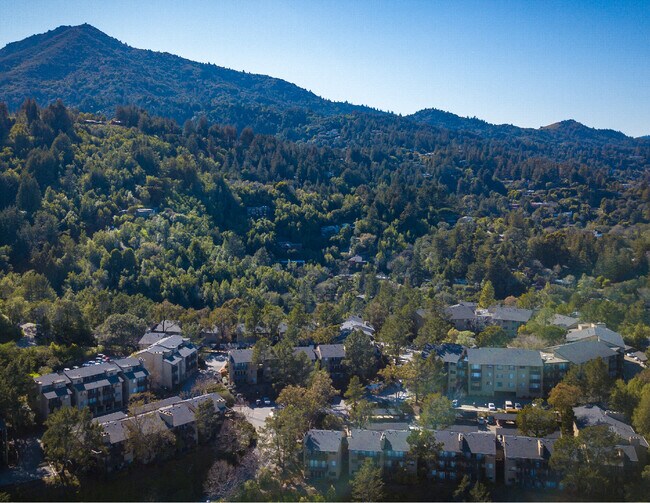 Skylark Apartments For Rent in Larkspur, CA