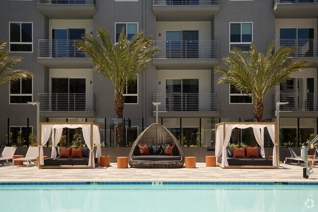 The Pool - The Q De Soto Rental