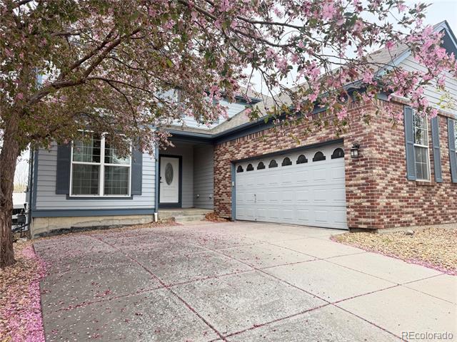 Photo - 11655 Zenobia Ct