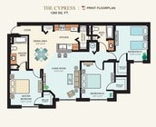 Cypress
