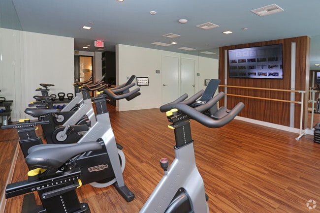 Cycle Studio