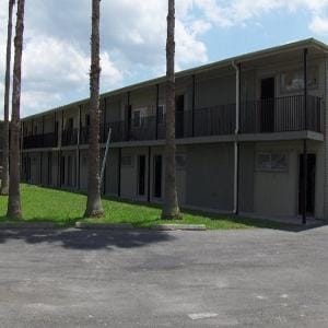 Building Photo - Palms of Alvin