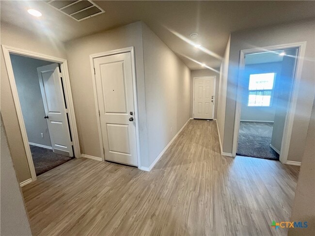 Photo - 1924 Green Warbler