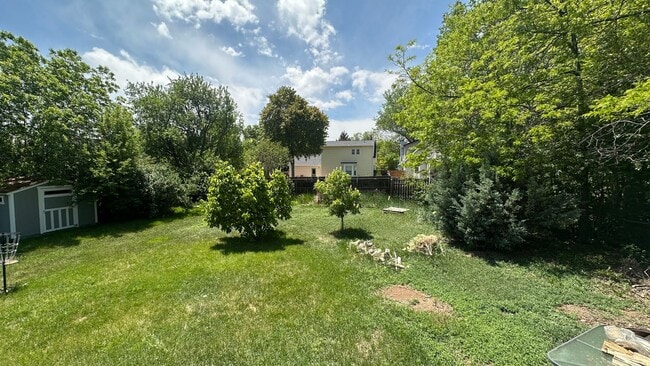 Photo - Great House In Fort Collins