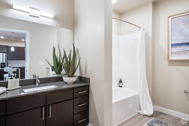 2BR, 2BA - B1 - Bathroom
