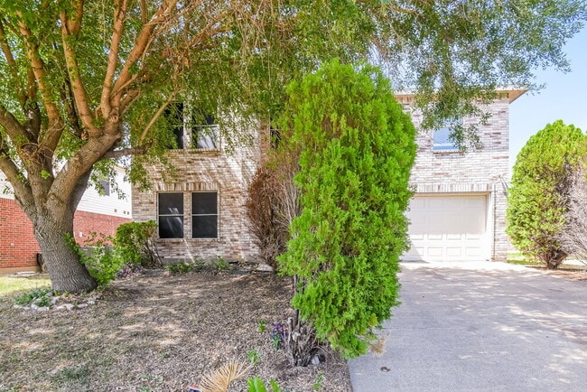 Building Photo - 3115 Teodoro Dr