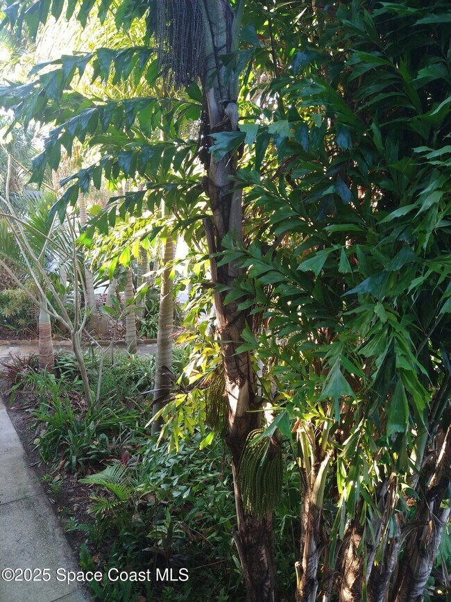 Photo - 1020 Pine Tree Dr Unit 8